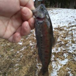 寒すぎて釣れない